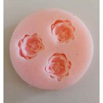 Silicon Mould